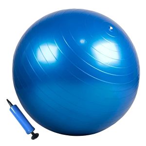  65Cm Anti-Brust High Quality Exercise Gym Ball With Hand Pump For Yoga Gym Use